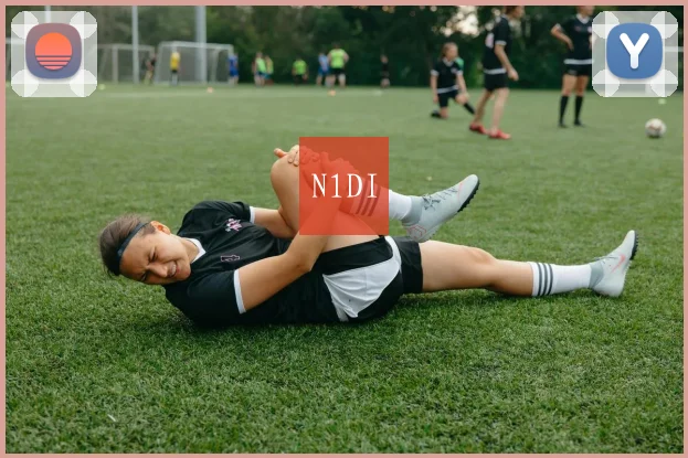 N1DI